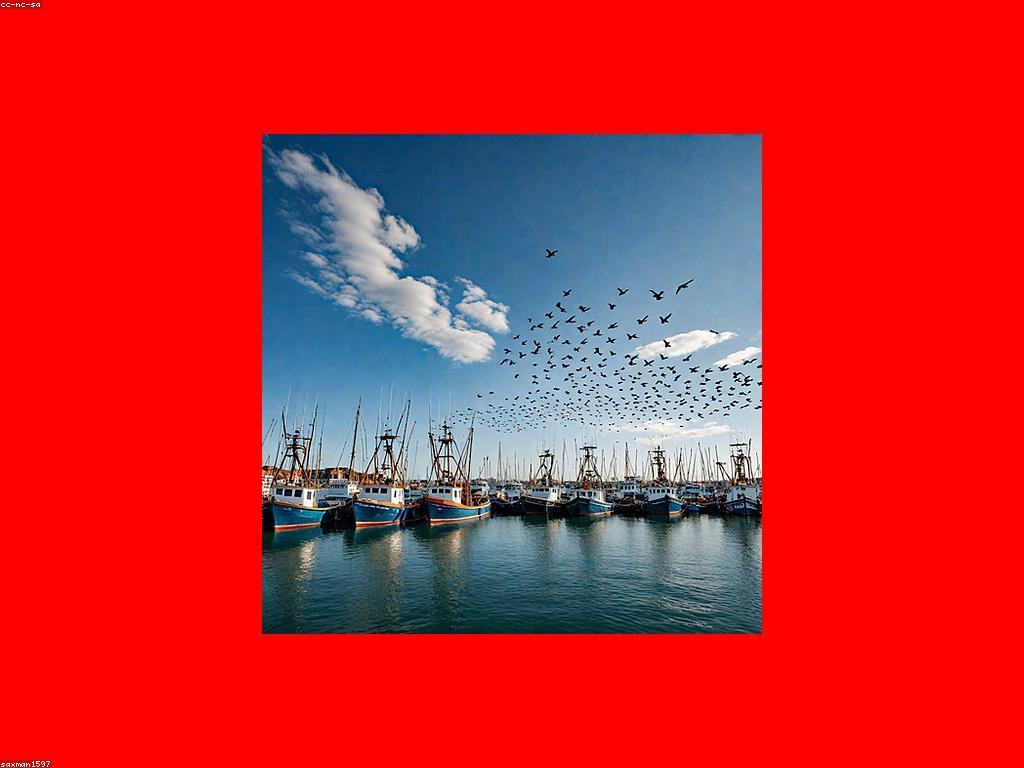 បច្ចេកទេសប្រើប្រាស់សំរាប់ការបង្ហោះត្រីធំ