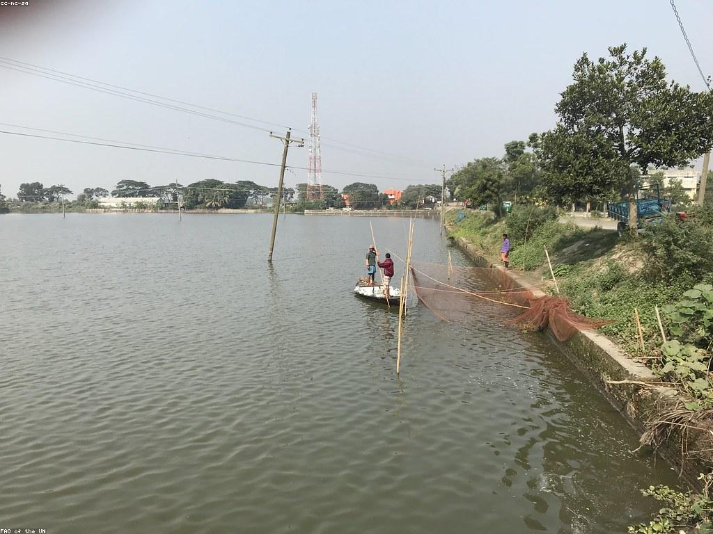 វិធីសាស្ត្រចុងក្រោយសម្រាប់ការបង្ហោះត្រីធំ