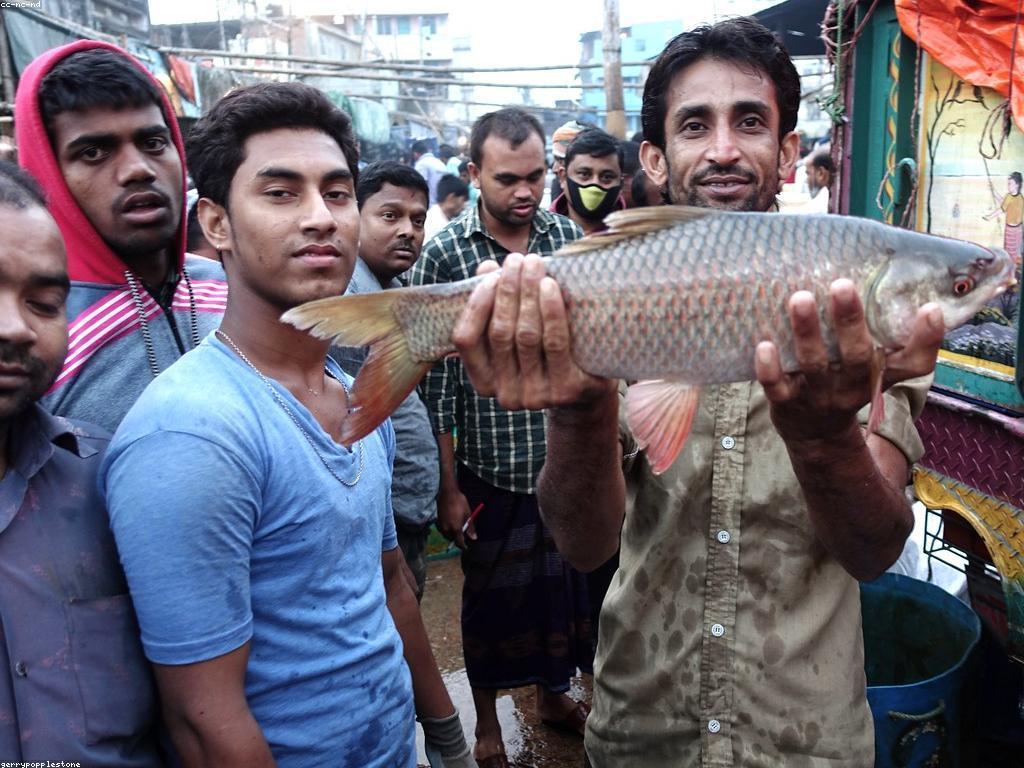 យុទ្ធសាស្ត្រថ្មីសម្រាប់ការបង្ហោះត្រីធំ