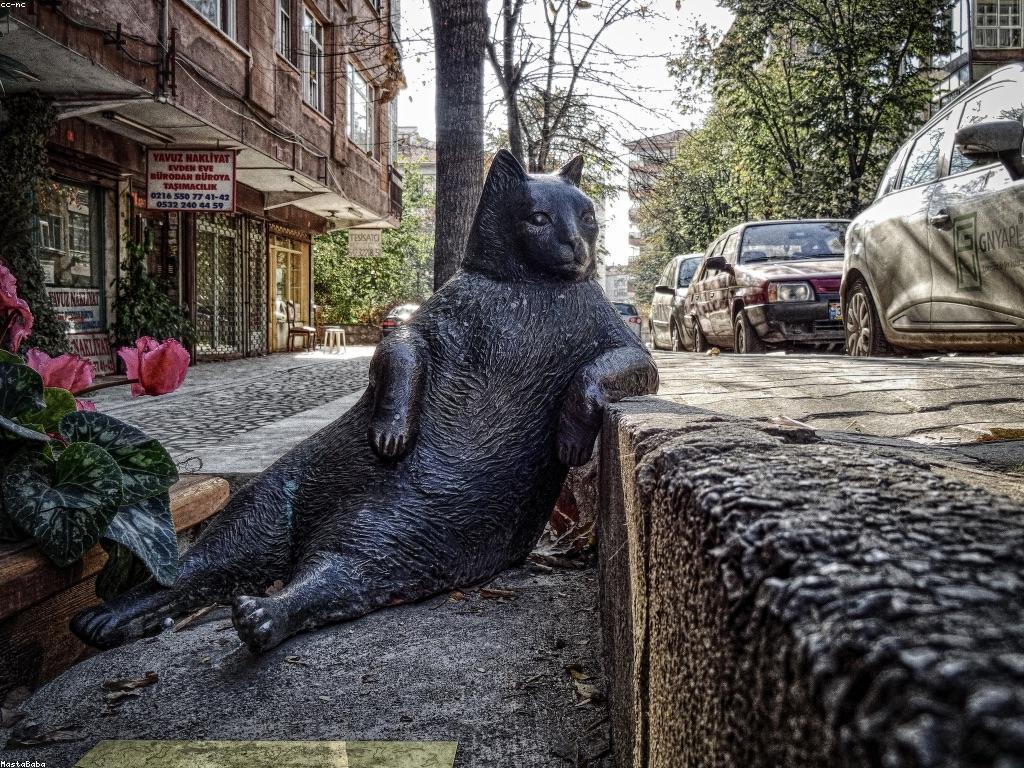 គន្លឹះសម្រាប់ការបង្ហោះត្រីធំ