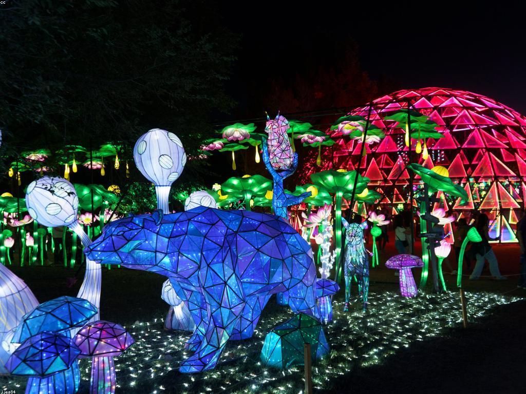 ការបំបែកត្រី: មេរៀនសម្រាប់អ្នកចាប់ត្រី